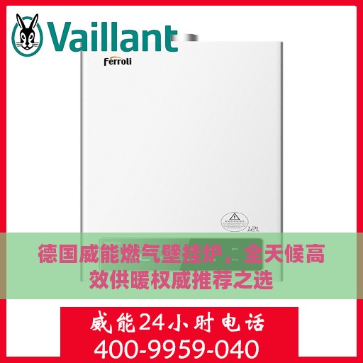 德国威能燃气壁挂炉，全天候高效供暖权威推荐之选