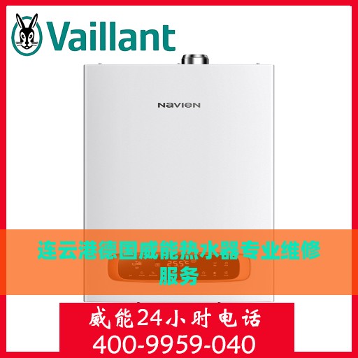 连云港德国威能热水器专业维修服务