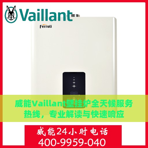 威能Vaillant壁挂炉全天候服务热线，专业解读与快速响应