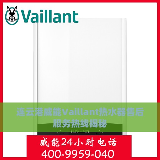 连云港威能Vaillant热水器售后服务热线揭秘