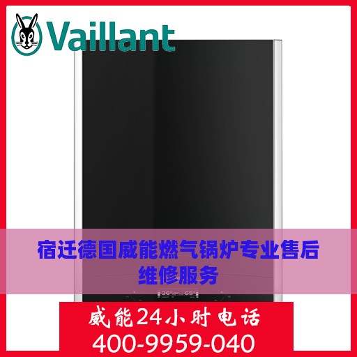 宿迁德国威能燃气锅炉专业售后维修服务
