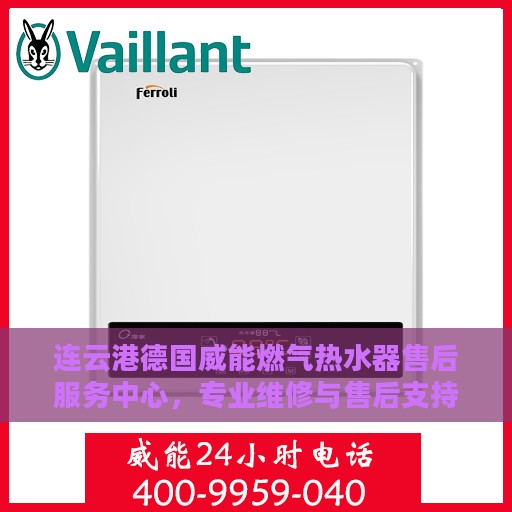 连云港德国威能燃气热水器售后服务中心，专业维修与售后支持总部