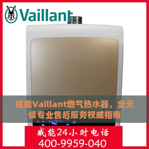 威能Vaillant燃气热水器，全天候专业售后服务权威指南