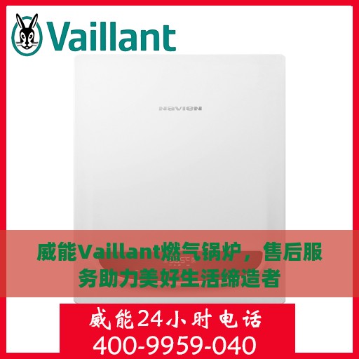 威能Vaillant燃气锅炉，售后服务助力美好生活缔造者