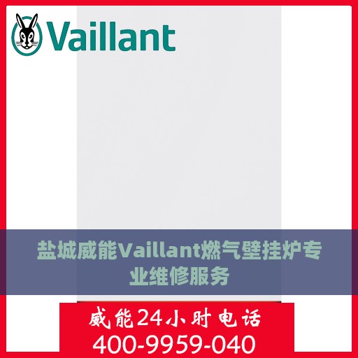 盐城威能Vaillant燃气壁挂炉专业维修服务