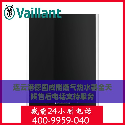 连云港德国威能燃气热水器全天候售后电话支持服务