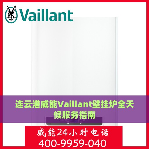 连云港威能Vaillant壁挂炉全天候服务指南