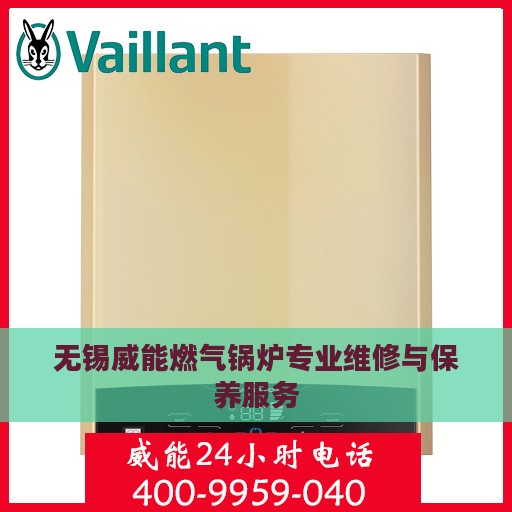 无锡威能燃气锅炉专业维修与保养服务