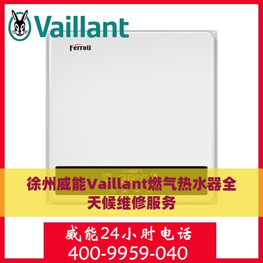 徐州威能Vaillant燃气热水器全天候维修服务
