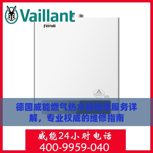 德国威能燃气热水器维修服务详解，专业权威的维修指南
