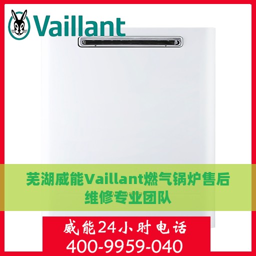 芜湖威能Vaillant燃气锅炉售后维修专业团队