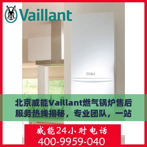 北京威能Vaillant燃气锅炉售后服务热线揭秘，专业团队，一站式服务保障