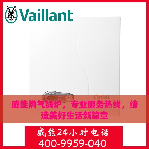 威能燃气锅炉，专业服务热线，缔造美好生活新篇章