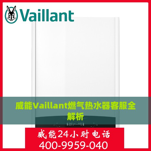 威能Vaillant燃气热水器客服全解析