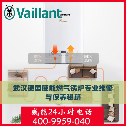 武汉德国威能燃气锅炉专业维修与保养秘籍