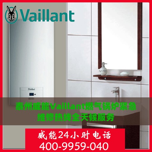 泰州威能Vaillant燃气锅炉紧急维修热线全天候服务