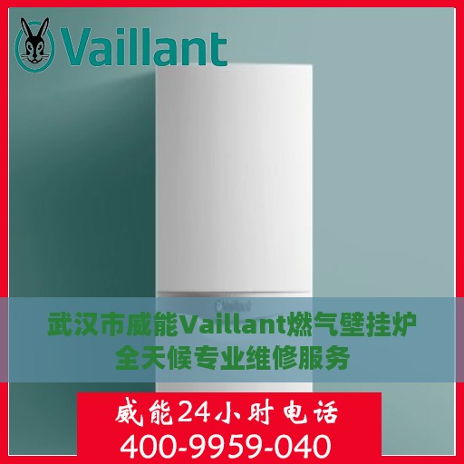 武汉市威能Vaillant燃气壁挂炉全天候专业维修服务