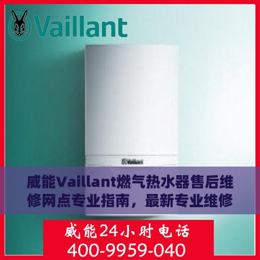 威能Vaillant燃气热水器售后维修网点专业指南，最新专业维修攻略