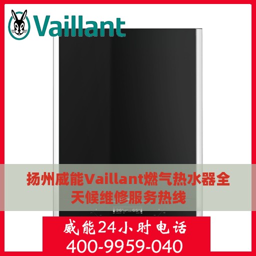 扬州威能Vaillant燃气热水器全天候维修服务热线