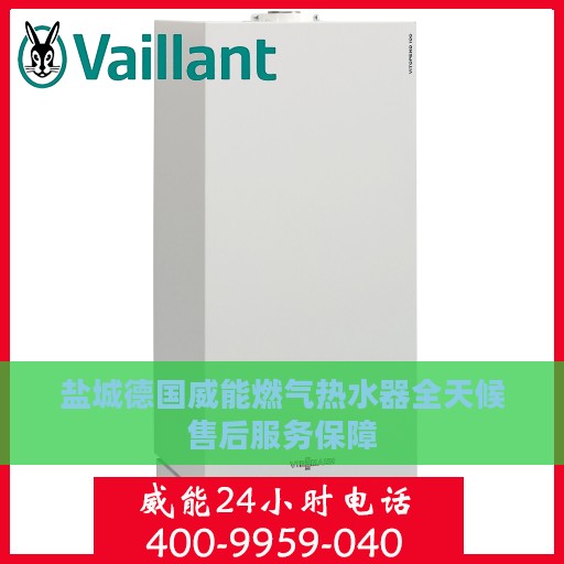 盐城德国威能燃气热水器全天候售后服务保障