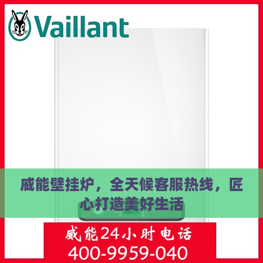威能壁挂炉，全天候客服热线，匠心打造美好生活