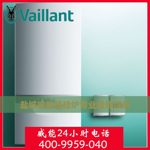 盐城威能壁挂炉专业维修服务