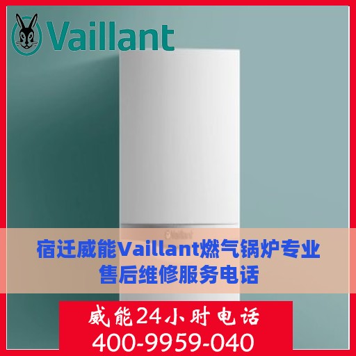 宿迁威能Vaillant燃气锅炉专业售后维修服务电话