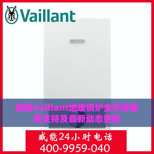 威能Vaillant地暖锅炉全天候客服支持及最新动态更新