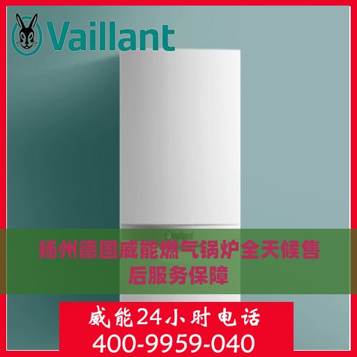 扬州德国威能燃气锅炉全天候售后服务保障