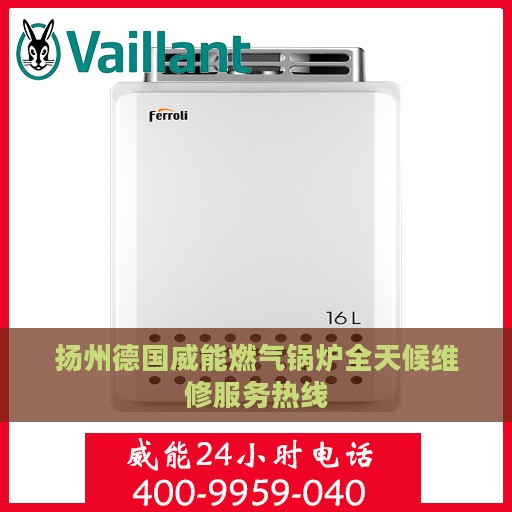 扬州德国威能燃气锅炉全天候维修服务热线