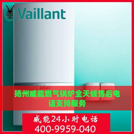 扬州威能燃气锅炉全天候售后电话支持服务