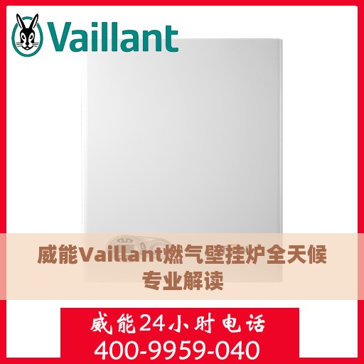 威能Vaillant燃气壁挂炉全天候专业解读