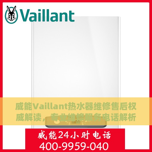 威能Vaillant热水器维修售后权威解读，专业维修服务电话解析与指南