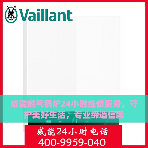 威能燃气锅炉24小时维修服务，守护美好生活，专业缔造信赖