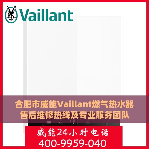 合肥市威能Vaillant燃气热水器售后维修热线及专业服务团队
