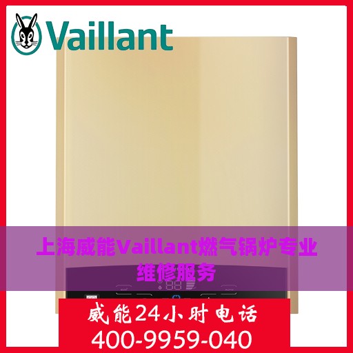 上海威能Vaillant燃气锅炉专业维修服务