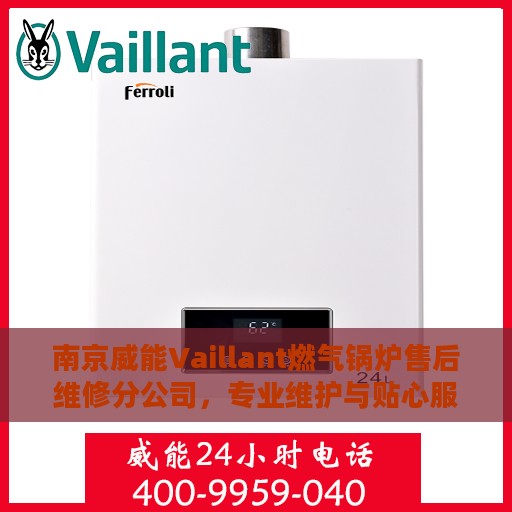 南京威能Vaillant燃气锅炉售后维修分公司，专业维护与贴心服务
