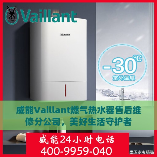 威能Vaillant燃气热水器售后维修分公司，美好生活守护者