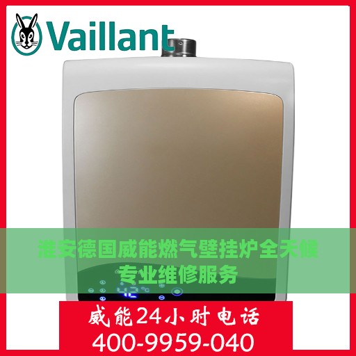 淮安德国威能燃气壁挂炉全天候专业维修服务