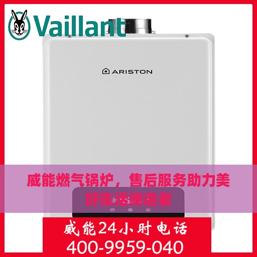威能燃气锅炉，售后服务助力美好生活缔造者