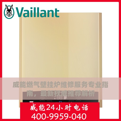 威能燃气壁挂炉维修服务专业指南，最新权威推荐解析