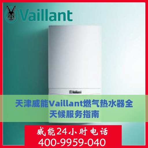 天津威能Vaillant燃气热水器全天候服务指南