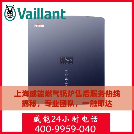 上海威能燃气锅炉售后服务热线揭秘，专业团队，一触即达