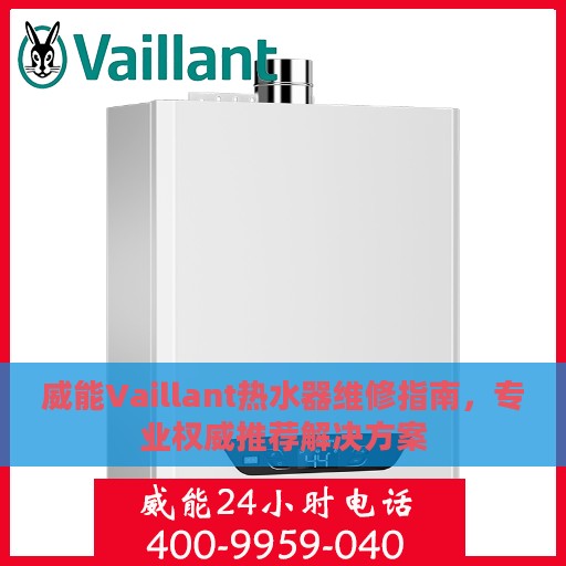 威能Vaillant热水器维修指南，专业权威推荐解决方案
