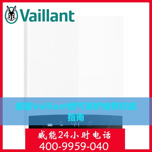 威能Vaillant燃气锅炉维修权威指南