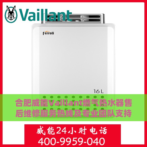 合肥威能Vaillant燃气热水器售后维修服务热线及专业团队支持