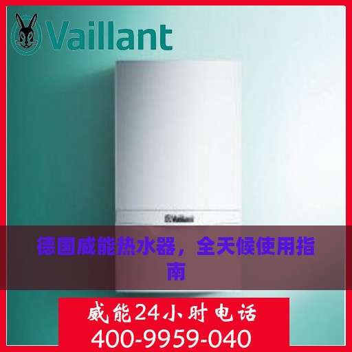 德国威能热水器，全天候使用指南