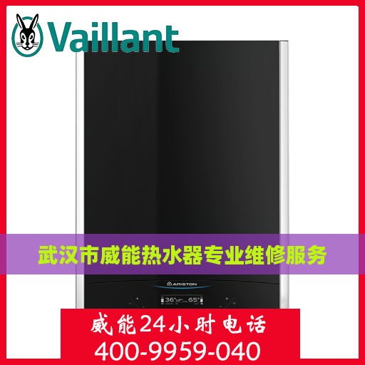 武汉市威能热水器专业维修服务