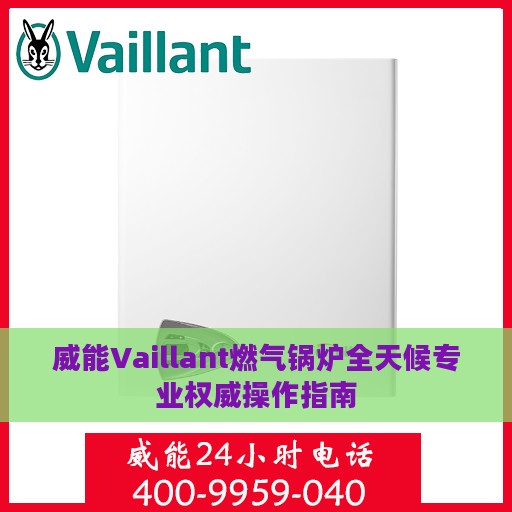 威能Vaillant燃气锅炉全天候专业权威操作指南