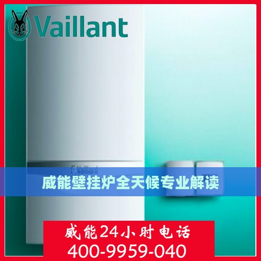 威能壁挂炉全天候专业解读